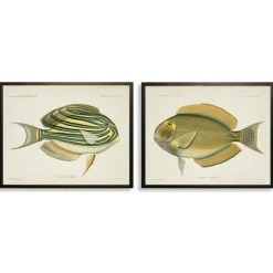 Kirkland's Home Acanthurus Fish Framed Art Prints, Set Of 2- Framed Art