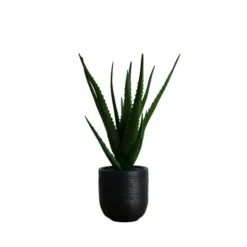 Kirkland's Home Agave Arrangement In Black Decorative Pot- Arrangements & Greenery