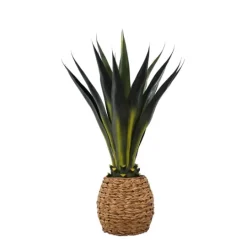 Kirkland's Home Agave Arrangement In Natural Woven Basket- Trees & Topiaries