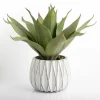 Kirkland's Home Agave Succulent In White Pot- Arrangements & Greenery