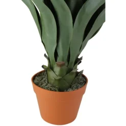 Kirkland's Home Agave Succulent Plant In Terracotta Planter- Arrangements & Greenery