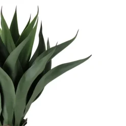 Kirkland's Home Agave Succulent Plant In Terracotta Planter- Arrangements & Greenery