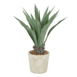Kirkland's Home Aloe Barbadensis In Pebble Planter- Arrangements & Greenery