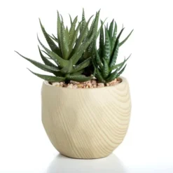 Kirkland's Home Aloe Succulent Arrangement In Natural Pot- Arrangements & Greenery