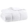 Kirkland's Home Antimicrobial Down Alternative King Comforter- Comforters