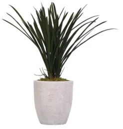 Kirkland's Home Areca Grass In Mossy White Planter- Arrangements & Greenery