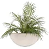 Kirkland's Home Areca Palm In Round Sonce Planter- Arrangements & Greenery