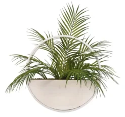 Kirkland's Home Areca Palm In Round Sonce Planter- Arrangements & Greenery