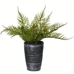 Kirkland's Home Asparagus Fern In Tall Black Planter- Arrangements & Greenery