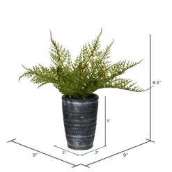 Kirkland's Home Asparagus Fern In Tall Black Planter- Arrangements & Greenery