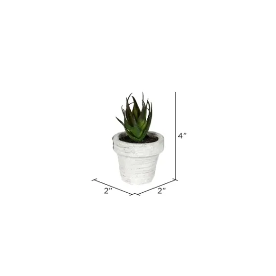 Kirkland's Home Assorted Potted Succulent Arrangements, Set Of 6- Arrangements & Greenery