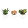 Kirkland's Home Assorted Succulents In White Planters, Set Of 3- Arrangements & Greenery