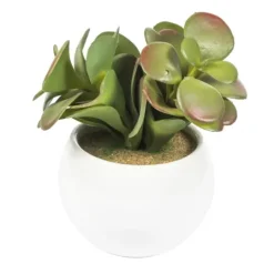 Kirkland's Home Assorted Succulents In White Planters, Set Of 3- Arrangements & Greenery