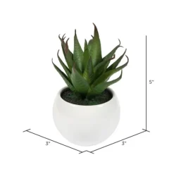 Kirkland's Home Assorted Succulents In White Planters, Set Of 3- Arrangements & Greenery