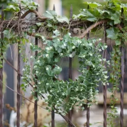 Kirkland's Home Australian Eucalpyptus Wreath- Wreaths