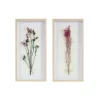 Kirkland's Home Avant Garden Dried Flowers Shadowboxes, Set Of 2- Framed Art