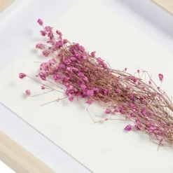 Kirkland's Home Avant Garden Dried Flowers Shadowboxes, Set Of 2- Framed Art