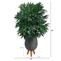 Kirkland's Home Bamboo Palm With Gray Planter Stand, 3 Ft.- Trees & Topiaries