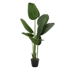 Kirkland's Home Banana Tree In Ribbed Rock Planter- Trees & Topiaries