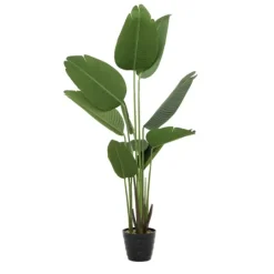 Kirkland's Home Banana Tree In Ribbed Rock Planter- Trees & Topiaries