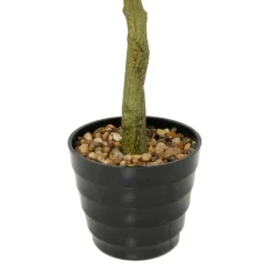 Kirkland's Home Banyan Tree In Ribbed Rock Planter- Trees & Topiaries