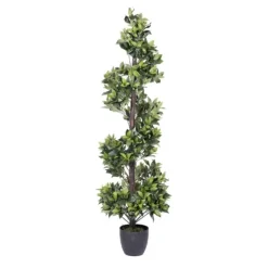 Kirkland's Home Bay Leaf Spiral Potted Tree, 60 In.- Trees & Topiaries