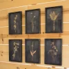 Kirkland's Home Black Botanical Framed Art Prints, Set Of 6- Framed Art