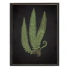 Kirkland's Home Black Fern I Framed Art Print- Framed Art