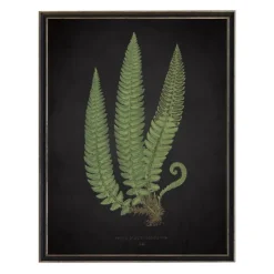 Kirkland's Home Black Fern I Framed Art Print- Framed Art