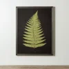 Kirkland's Home Black Fern Iv Framed Art Print- Framed Art