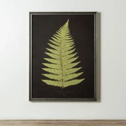Kirkland's Home Black Fern Iv Framed Art Print- Framed Art