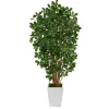 Kirkland's Home Black Olive Tree In White Planter, 5.5 Ft.- Trees & Topiaries