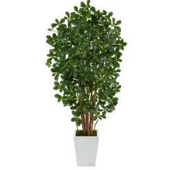 Kirkland's Home Black Olive Tree In White Planter, 5.5 Ft.- Trees & Topiaries