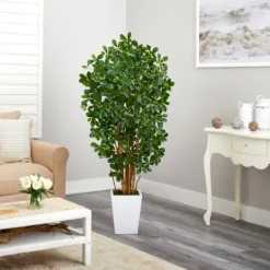 Kirkland's Home Black Olive Tree In White Planter, 5.5 Ft.- Trees & Topiaries