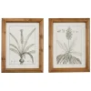 Kirkland's Home Black White Vintage Botanical Framed Art, Set Of 2- Framed Art