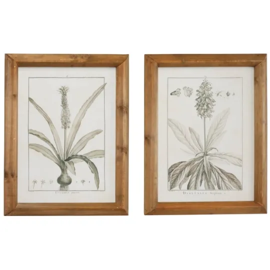 Kirkland's Home Black White Vintage Botanical Framed Art, Set Of 2- Framed Art