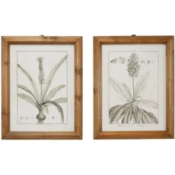 Kirkland's Home Black White Vintage Botanical Framed Art, Set Of 2- Framed Art