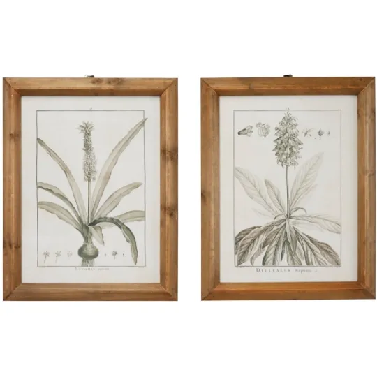 Kirkland's Home Black White Vintage Botanical Framed Art, Set Of 2- Framed Art