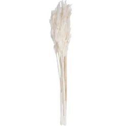 Kirkland's Home Bleached Preserved Plume Reed Bundles, Set Of 2- Stems & Bouquets