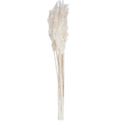 Kirkland's Home Bleached Preserved Plume Reed Bundles, Set Of 2- Stems & Bouquets