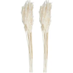 Kirkland's Home Bleached Preserved Plume Reed Bundles, Set Of 2- Stems & Bouquets