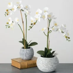 Kirkland's Home Blooming White Orchid Potted Floral Arrangement- Arrangements & Greenery