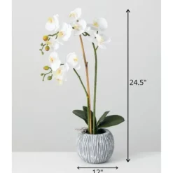 Kirkland's Home Blooming White Orchid Potted Floral Arrangement- Arrangements & Greenery