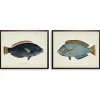 Kirkland's Home Blue Fish Framed Art Prints, Set Of 2- Wall Quotes & Signs