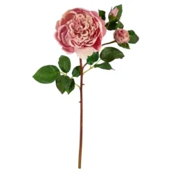 Kirkland's Home Blush Blooming Rose Stems, Set Of 6- Stems & Bouquets