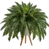 Kirkland's Home Boston Fern Arrangement In White Planter- Trees & Topiaries