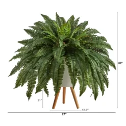 Kirkland's Home Boston Fern Arrangement In White Planter- Trees & Topiaries