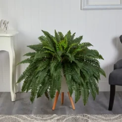 Kirkland's Home Boston Fern Arrangement In White Planter- Trees & Topiaries