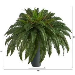 Kirkland's Home Boston Fern In Oblong Gray Planter- Arrangements & Greenery