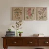 Kirkland's Home Botanical Linen Art Prints, Set Of 3- Canvas Art